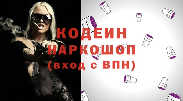 крисы Абаза