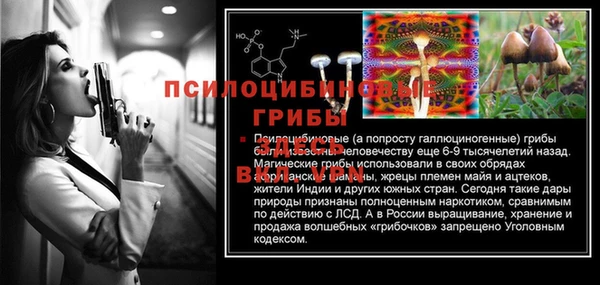 эйфоретик Алексин